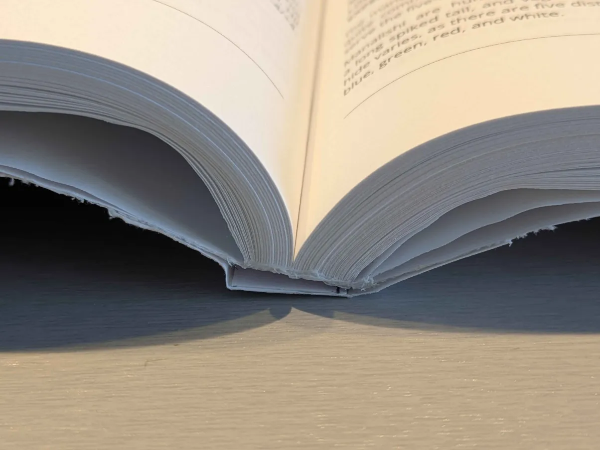 PXL_20260411_175132308